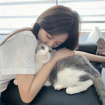 职场小烈第二季