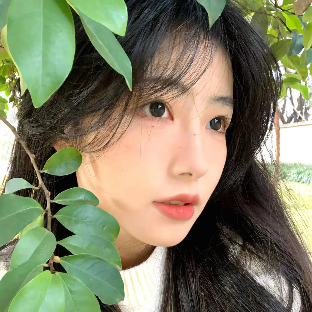 神奇的旋转木马